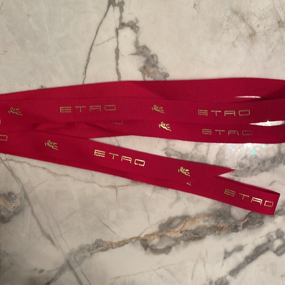 Etro Ribbon 🎀 9&” - Picture 6 of 7